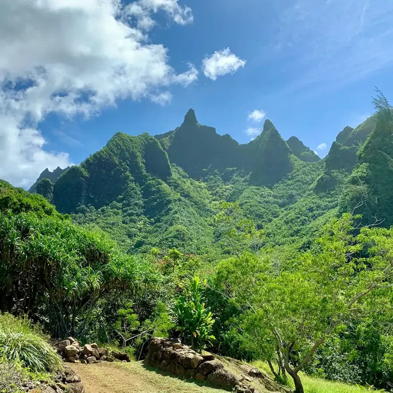 kauai-ny