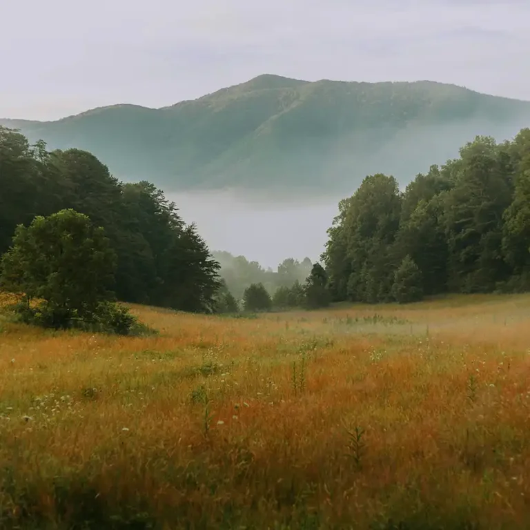 smoky-mountains
